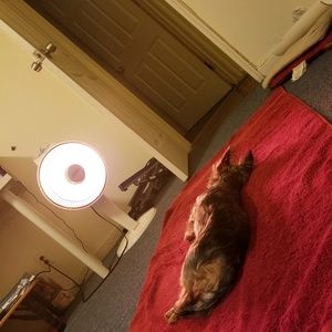 Meet your Posher, Bonchan